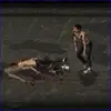 Zombie Invasion fps Action GIF small