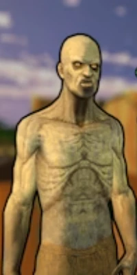 play Zombie Village online and free